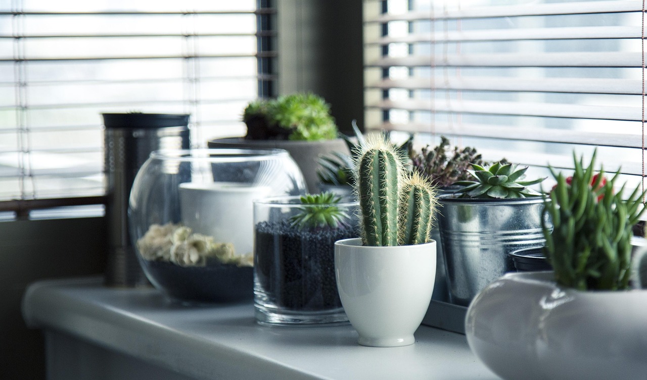 Verticaal tuinontwerp met bio-regeneratieve planten Verticaal tuinontwerp met bio-regeneratieve planten
