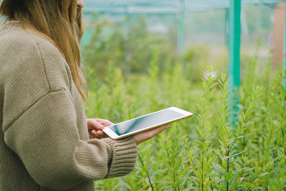Gadgetgroen robotmaaier die gras onderhoudt. Gadgetgroen robotmaaier die gras onderhoudt.