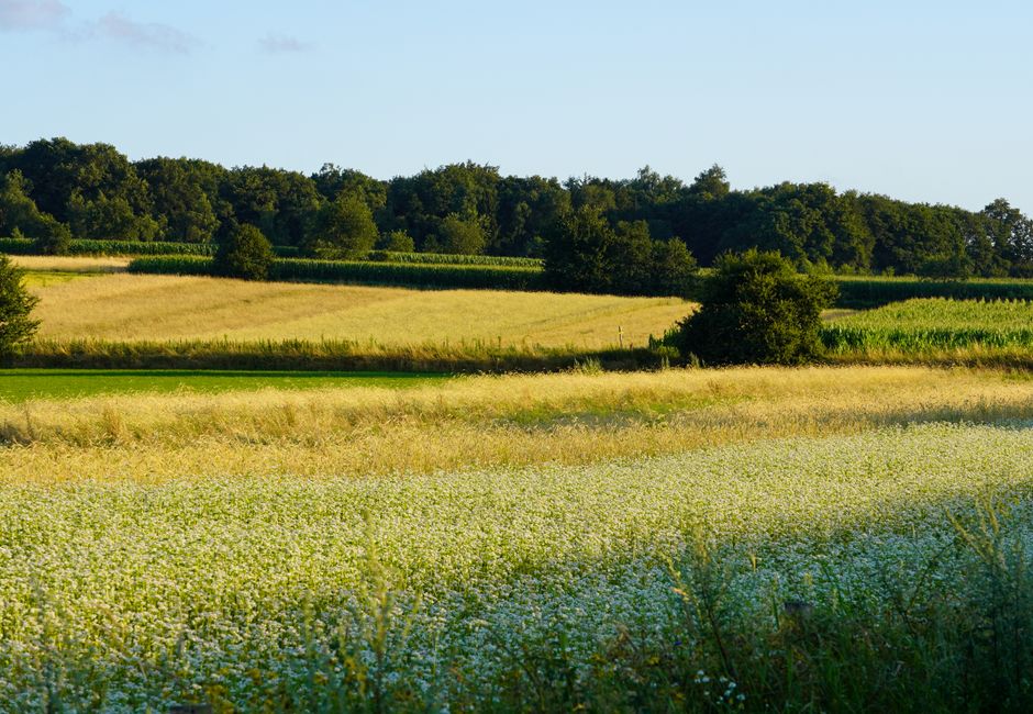Interieurdecor met verfrissende bloemen op linnen.