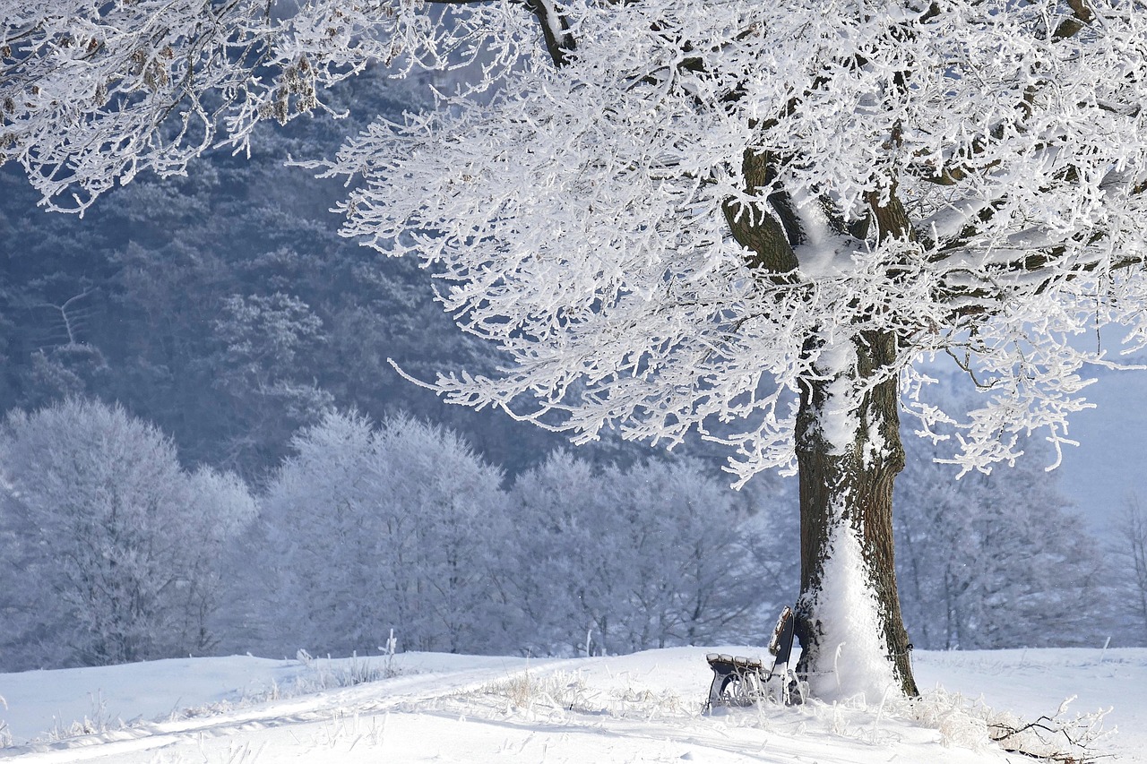 Warme gordijnen complementeren winterse woonkamerstijl. Warme gordijnen complementeren winterse woonkamerstijl.