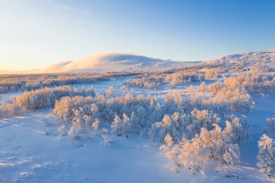 Gezellig ingerichte woonkamer met winterse rolgordijnen. Gezellig ingerichte woonkamer met winterse rolgordijnen.